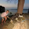 Greg Ball - @greg.ball05 - TikTok