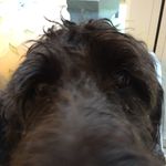 Greg - @greg_bartholomew - Instagram