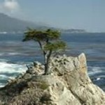 greg bartley - @bartley.greg - Instagram