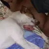 Gregory Baumgarten - @gregorybaumgarte8 - TikTok