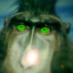Greg Beck - @monkeygreg - Instagram