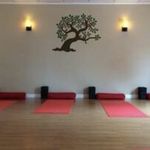 Greg Belcher - @gb.cardinal - Instagram