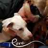 Greg Belcher - @greg.belcher - TikTok