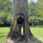 Greg Benedict - @_gregbenedict - Instagram