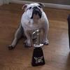 Greg Benefield725 - @gb2977aol.com - TikTok