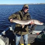 Greg Berg - @gregberg27 - Instagram