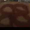 AceeNeBall - @gregbetts67 - TikTok