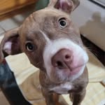 Greg Biggs - @gregbiggs2 - Instagram