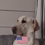 Greg Biggs - Facebook