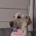 Greg Biggs - @tgregbiggs33 - Instagram