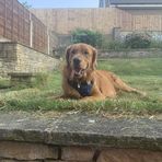 Greg Billing - Facebook