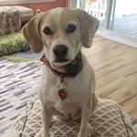 Greg Blair - @greg.blair.520 - Instagram