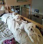 Greg Blake - Facebook