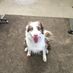 Greg Bliss - Facebook