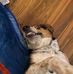 Greg Bogart - Facebook