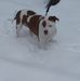 Greg Boggs - Facebook