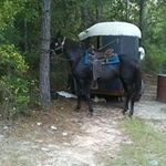 Gregory Bohannon - @bohannongregory - Instagram