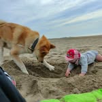 Greg Bonhami - @gregbonhami - Instagram