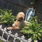 Greg Bonney - @greg_bonney - Instagram
