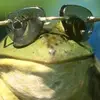 borisgreg - @borisgreg - TikTok