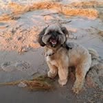Greg Boutell - @gregboutell - Instagram