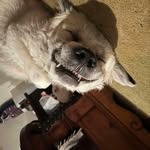Greg Bowers - @bgreg1976 - Instagram
