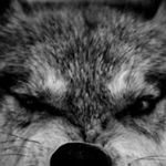 Greg Bowers - @greg.bowers.98229 - Instagram