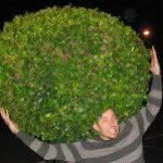 Greg Boyes - @groggy_boyes - Instagram