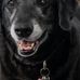 Greg Boyington - Facebook