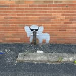 Greg Boylan - @boylan9335 - Instagram