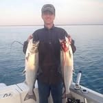 Greg Boyne - @boynegreg - Instagram
