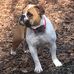 Greg Brackett - Facebook