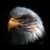 Greg Braden - Facebook
