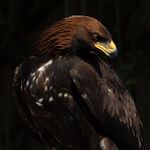 Greg Bragg - @greg_bragg_photography - Instagram