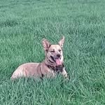 Greg Brainard - @greggybrainard - Instagram