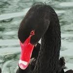 Greg Brandon - @gregbrandon65 - Instagram