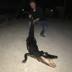 Greg Branham - @4.6boioh - Instagram
