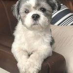 Gregory A Branham - @dudtom555 - Instagram