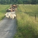 Greg Brann - @branngreg - Instagram