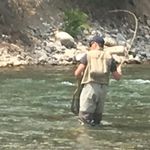 Greg Bratton - @greg.bratton.cuttycatcher - Instagram