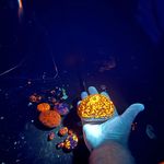 Greg Brauner - @gregbrauner - Instagram