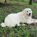 Greg Breeden - Facebook