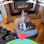 Greg Brenner - @brenner_signs - Instagram