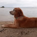 Greg Brent - @greg.brent.50 - Instagram