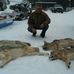 Greg Brent - Facebook