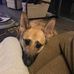 Greg Bray - Facebook