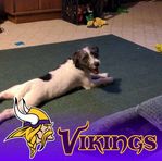 Greg Breyfogle - Facebook