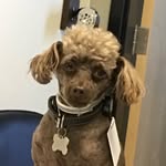 BrinkerMVTHS - @brinkergregg - Instagram