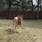 Gregory Brinker - Facebook