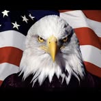 Greg Brittingham - Facebook